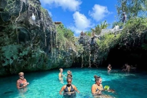 Zanzibar: Ui kilpikonnien kanssa Punainen apina ja Stone Town -kierros