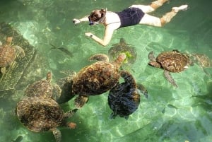 Zanzibar: Swim with Turtles at Baraka or Salam Cave