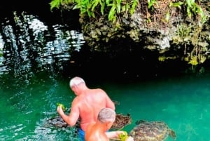 Zanzibar: Swim with Turtles at Baraka or Salam Cave