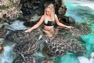 Zanzibar: Swim with Turtles at Baraka or Salam Cave