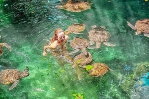 Zanzibar: Swim with Turtles at Baraka or Salam Cave