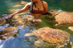 Zanzibar: Swim with turtles at Nungwi