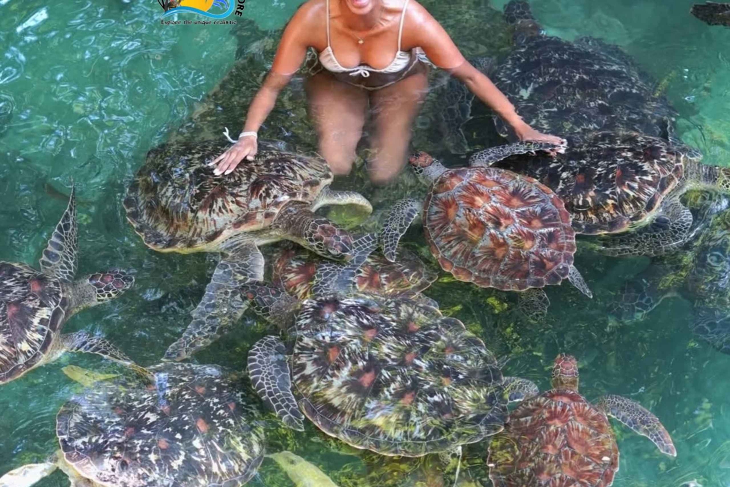 Zanzibar: Svøm med skildpadder og gennemsigtig kajak med drone