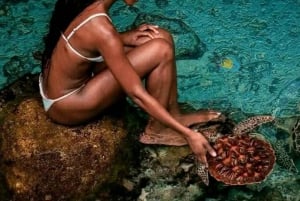 Zanzibar: Simma med sköldpaddor och transparent kajak med drönare