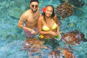 Zanzibar: Simma med sköldpaddor och transparent kajak med drönare