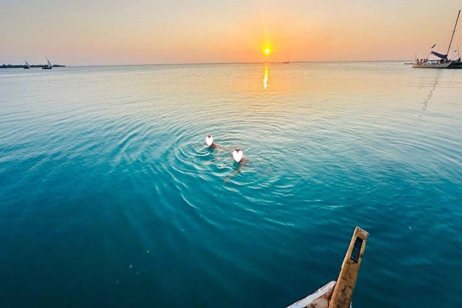 Sansibar: Schwimmen mit wilden Delfinen & Schnorcheln in Korallen