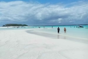 Sansibar: Schwimmen mit wilden Delfinen & Schnorcheln in Korallen