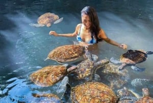 Zanzíbar: baño con tortugas y crucero en dhow al atardecer