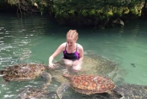 Zanzibar: nuota con le tartarughe e crociera in sambuco al tramonto
