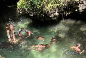Zanzibar: zwem met schildpadden en Dhow-cruise bij zonsondergang