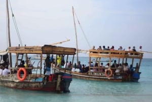 Zanzibar: Svøm med skilpadder og Dhow-cruise i solnedgang