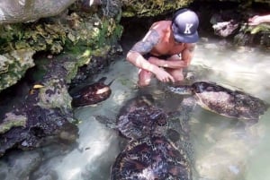 Zanzibar: pływanie z żółwiami i rejs dau o zachodzie słońca