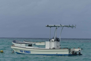 Zanzibar: Swimming with Dolphins and Snorkeling Private Tour