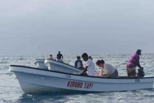Zanzibar: Swimming with Dolphins and Snorkeling Private Tour