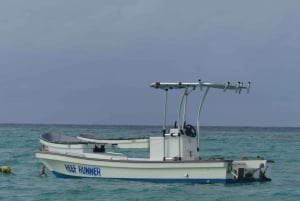 Zanzibar : sortie privée baignade avec dauphins, snorkeling