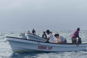 Sansibar: Schwimmen mit Delfinen und Schnorcheln Privat