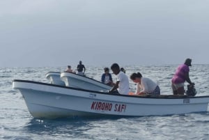 Zanzibar: Swimming with Dolphins and Snorkeling Private Tour