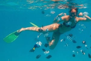 Zanzíbar Nadar con delfines y hacer snorkel
