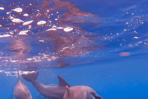 Zanzíbar Nadar con delfines y hacer snorkel