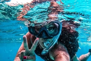 Zanzíbar Nadar con delfines y hacer snorkel