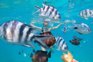 Zanzibar Pływanie z delfinami i snorkeling