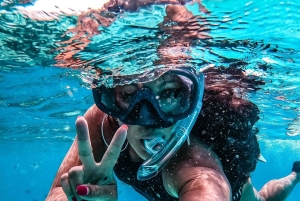 Zanzibar Pływanie z delfinami i snorkeling