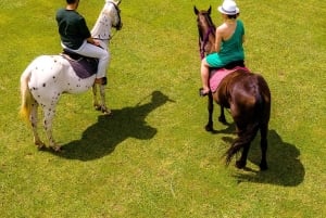 Занзибар: плавание с лошадью и тур на каяке