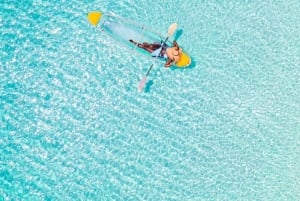 Занзибар: плавание с лошадью и тур на каяке