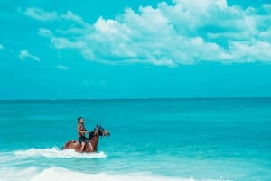 Zanzibar : baignade avec les chevaux et promenade en mer