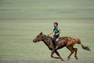 Zanzibar : baignade avec les chevaux et promenade en mer
