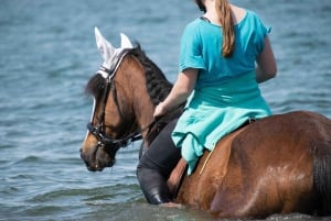 Zanzibar : baignade avec les chevaux et promenade en mer