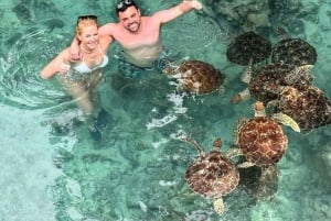 ZANZIBAR: Nade com tartarugas marinhas e caiaque transparente + opção de drone