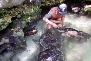 Zanzibar: Swimm With Turtles and Sunset Dhow Cruise