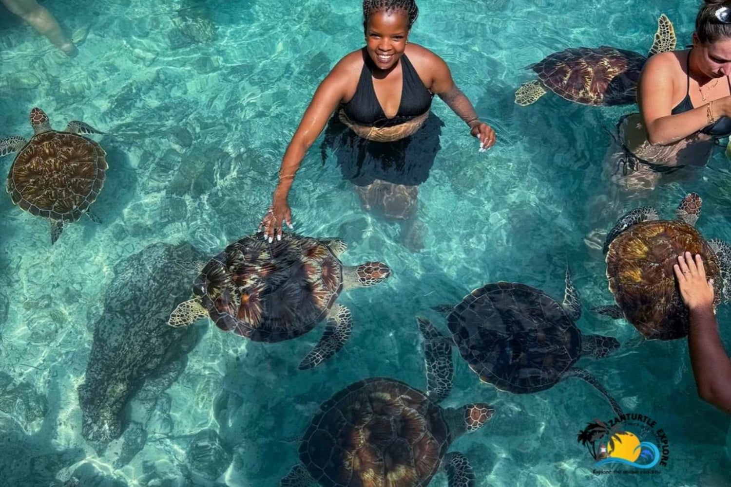 Zanzibar : Nager avec les tortues à l'aquarium de la grotte de Salaam
