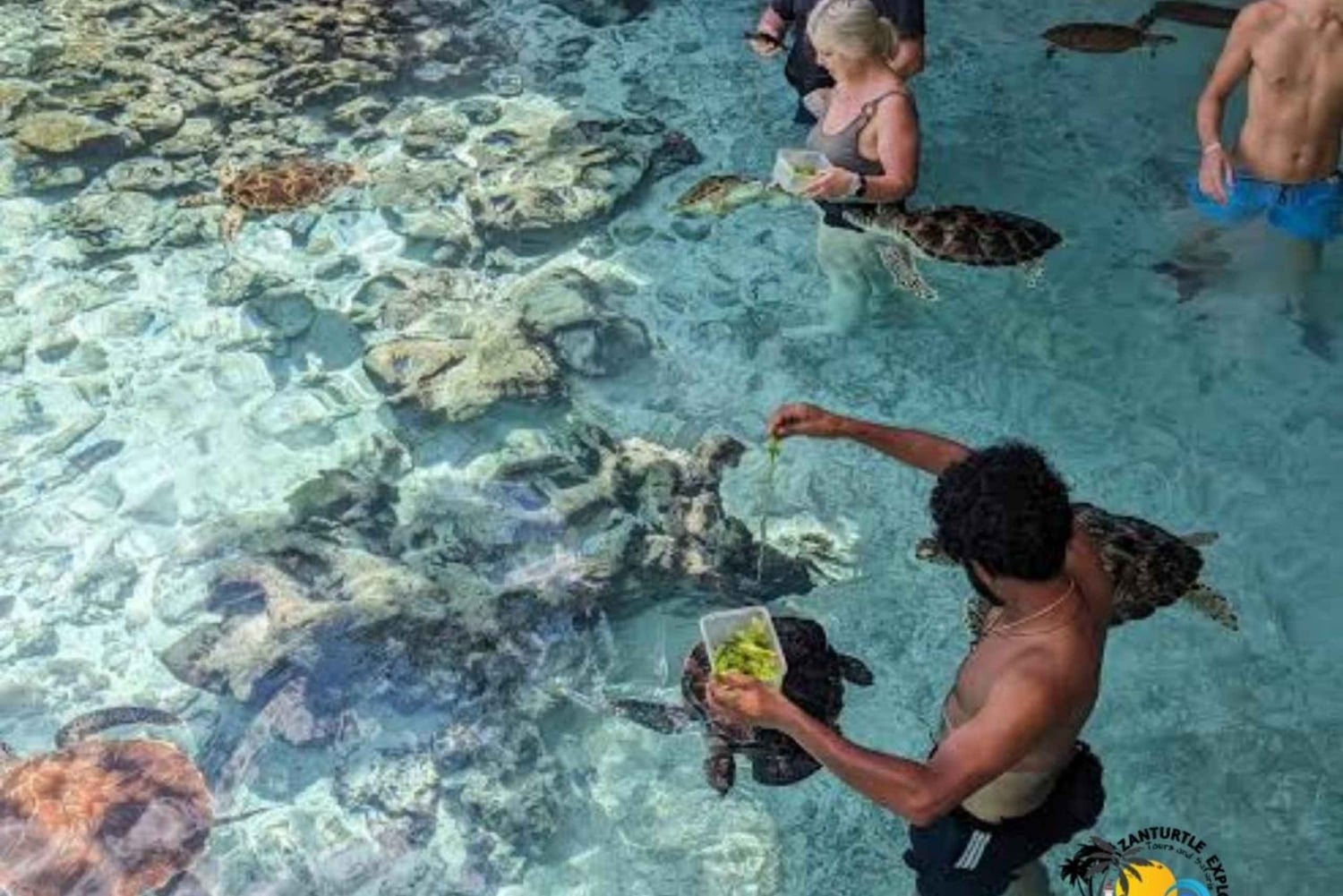 Zanzibar : Nager avec les tortues à l'aquarium de la grotte de Salaam