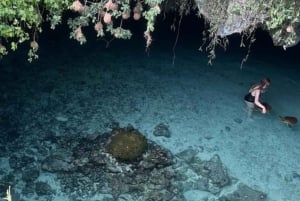 ザンジバル：サラーム洞窟水族館でカメと泳ぐ