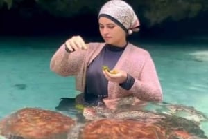 Zanzibar : Nager avec les tortues à l'aquarium de la grotte de Salaam