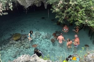 Zanzibar : Nager avec les tortues à l'aquarium de la grotte de Salaam