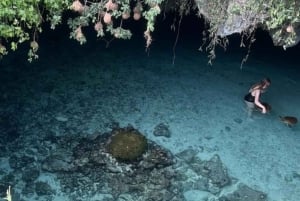 Zanzibar : Nager avec les tortues à l'aquarium de la grotte de Salaam
