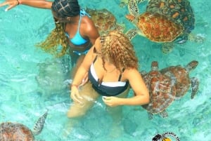 Zanzibar : Nager avec les tortues à l'aquarium de la grotte de Salaam