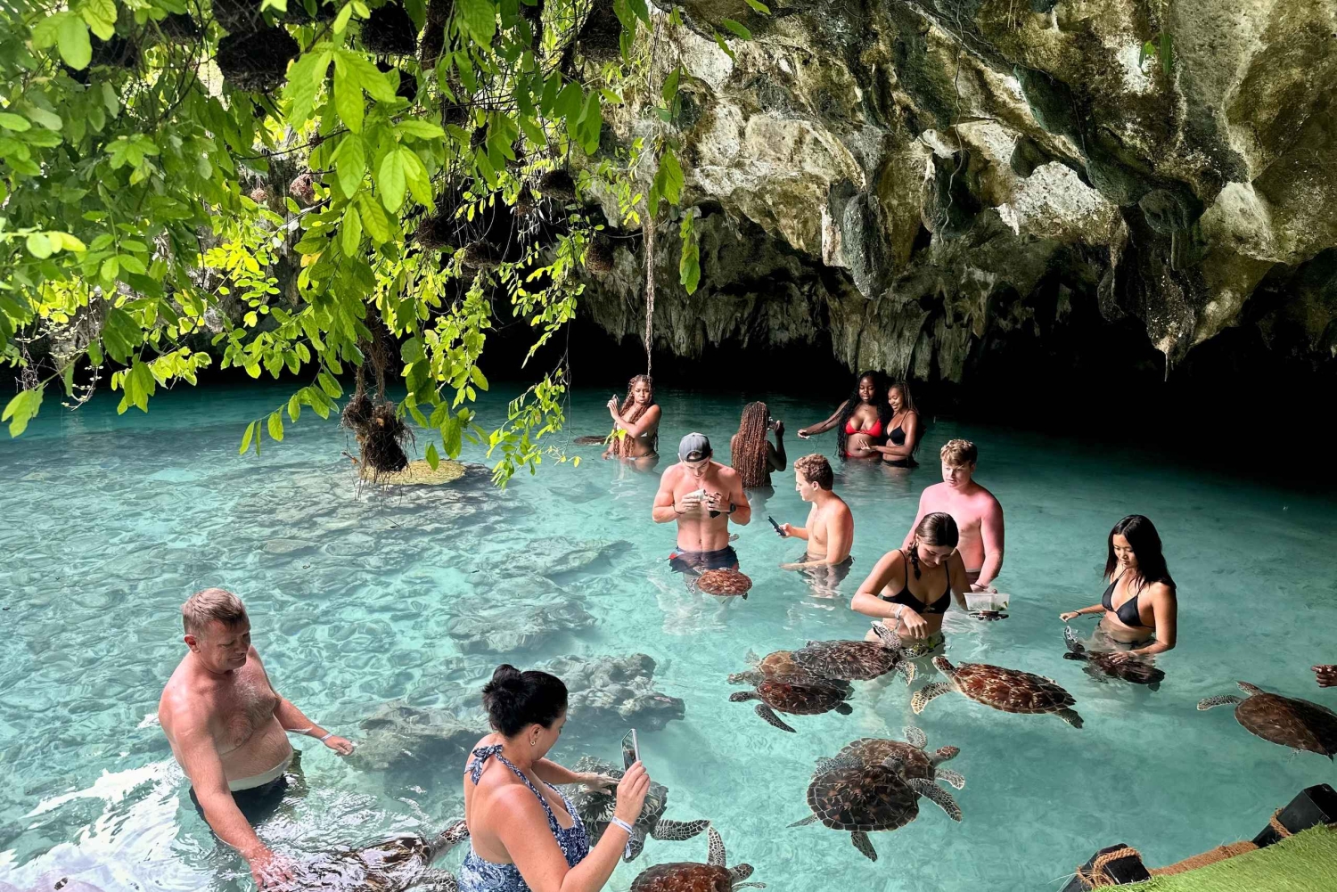 Sansibar: Uiminen kilpikonnien kanssa Salaamin luolassa Kizimkazissa