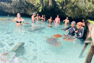 Sansibar: Uiminen kilpikonnien kanssa Salaamin luolassa Kizimkazissa