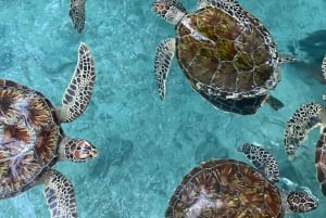 Zanzibar:Nuotare con le tartarughe nella grotta di Salaam