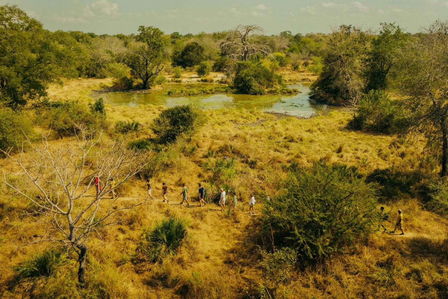 Zanzibar i Tanzania: 13-dniowa przygoda na plaży i safari