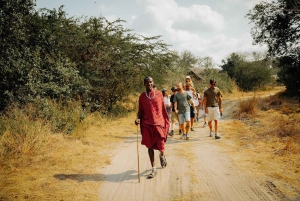 Zanzibar i Tanzania: 13-dniowa przygoda na plaży i safari