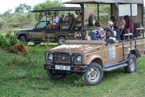 Zanzibar i Tanzania: 13-dniowa przygoda na plaży i safari