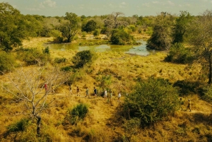 Zanzibar i Tanzania: 13-dniowa przygoda na plaży i safari