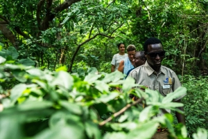 Zanzibar i Tanzania: 13-dniowa przygoda na plaży i safari