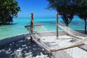 Zanzibar i Tanzania: 13-dniowa przygoda na plaży i safari