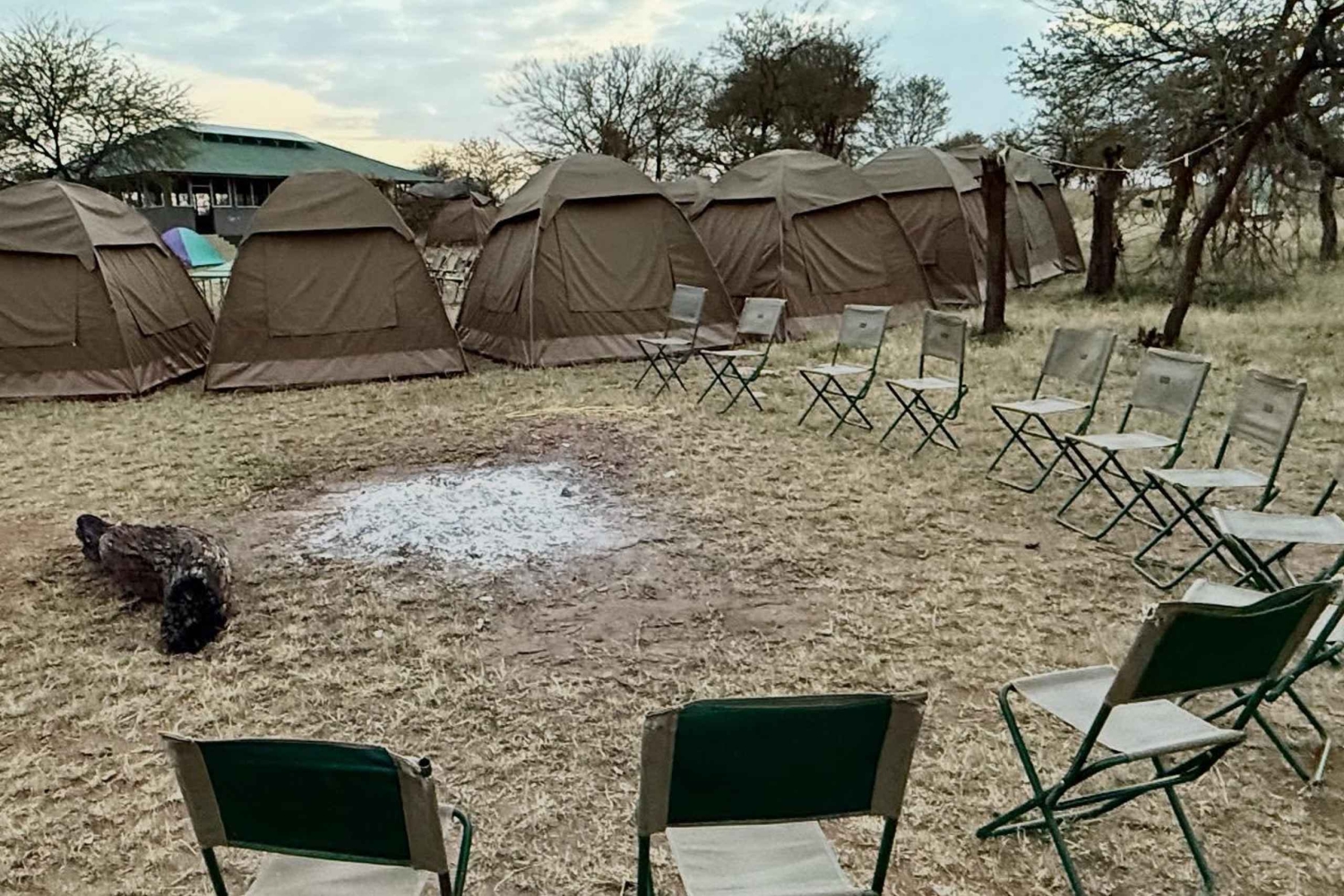 Zanzibar: Tarangire safari over natten med nattsafari